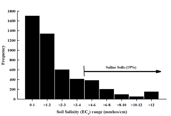 Fig. 4: Bar graph showing soil salinity histogram for soils submitted to the NMSU Soil, Water, and Agricultural Testing Lab, 2000 to 2008. 